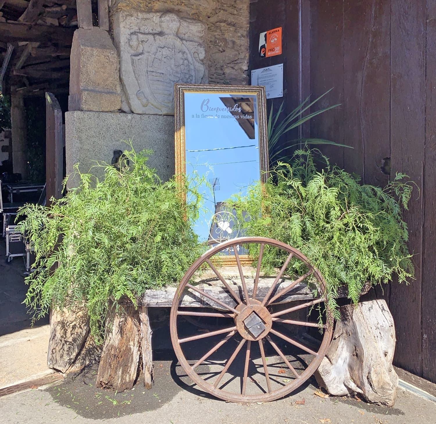 El día D, Wedding & Event Studio